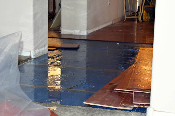 Professional Flood Cleanup technician working in Scandinavia, WI